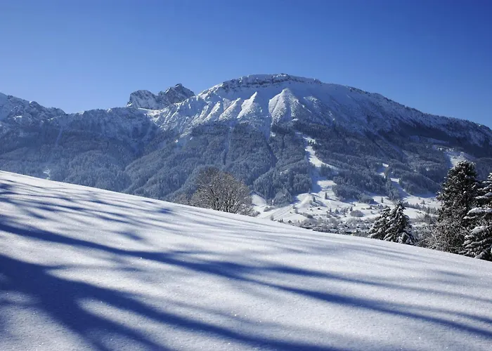 Gemuetliches Dachgeschoss-apartment Mit Alpenblick *